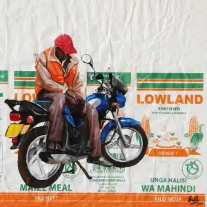 Hii bill yote, by Dennis Bull Ndegwa